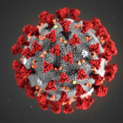 Image for Coronavirus – The Perfect Storm – Part 2 post